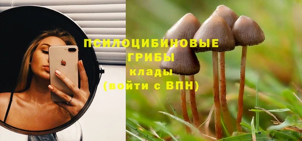 эйфоретик Алексеевка
