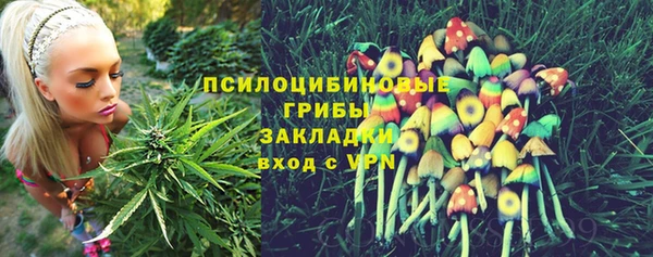 гидропоника Абаза