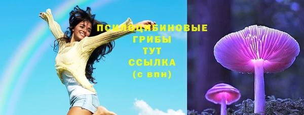 ECSTASY Алексин
