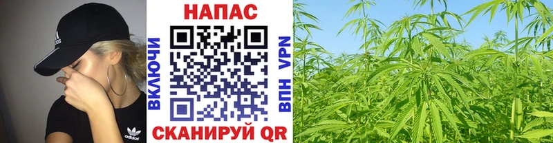 ОМГ ОМГ ссылка  дарнет шоп  Опочка  Каннабис ГИДРОПОН 